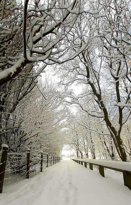 Large Countryside Home Tow Law Екстер'єр фото